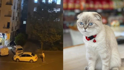 Esenyurt'ta silahlı kedi kavgası! Yoldan geçen kurye vuruldu