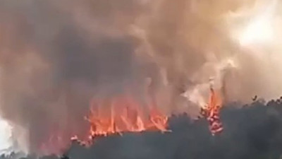 Kocaeli alevlere teslim oldu. Otluk alanda başlayan yangın ormana sıçradı. Çok sayıda itfaiye ekibi sevk edildi