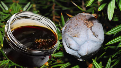 Aktarlar yok satıyor: Faydalarını duyan kaşık kaşık tüketiyor. Zinde ve enerjik hissettiriyor her derde deva oluyor