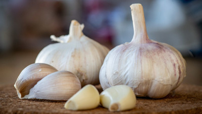 Her gün 2 diş yutun: Sarımsak yutmanın faydalarına inanmayacaksınız. Sarımsak yutmak neye yarar?