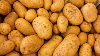 Patates filizleniyorsa çözümü basit: Patatesi çürümeden muhafaza etmenin formülü bulundu. Patatesler uzunca süre tazecik kalacak