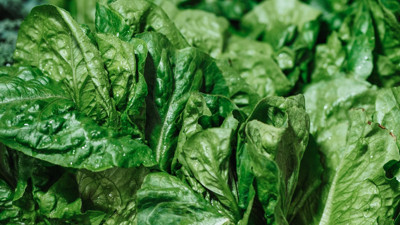 Sevmeyen bile kapış kapış tüketecek: Ispanağın hiç bilinmeyen yararı ortaya çıktı. Faydasını duyan pazarın yolunu tutuyor