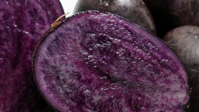 Japonların ömür uzatan reçetesi: Günde 1 tane yemek beyni dipdiri yapıyor ömrünüze ömür katıyor. Uzun ve sağlıklı yaşamın sırrı olan o besin