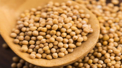 Faydalarını duyan koşa koşa aktarın yolunu tutuyor: Her yemeğe 1 kaşık mutlaka atın. Tam bir küçük şifa ambarı