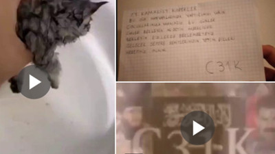 'C31K'dan kan donduran yeni mesajlar. Kedilere işkence edip örgüt propagandası yapmışlardı. Çocukları hedef aldılar. İşte 'C31K'nın açılımı