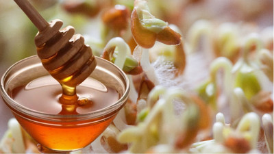 Ne öksürük ne balgam kalacak: İçine 1 kaşık bal ilave etmeniz yeterli. Köh köh öksürenler hemen denesin