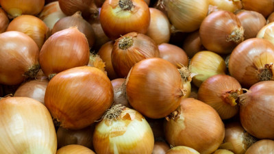 Soğan saklama yöntemi bulundu: Aylar geçse de asla çürümeyecek ve küflenmeyecek. Soğan kış aylarında nasıl saklanır?