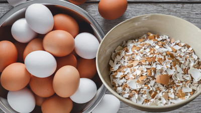 Yıllardır soyup çöp diye atıyorduk: Yumurta kabuğunu toz haline getirende o sorundan eser kalmayacak. Yumurta kabuğunun faydaları nedir?