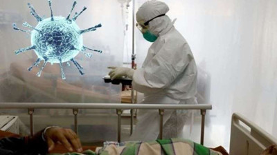 Kuş gribi hortluyor mu? Dünya Sağlık Örgütü virüsün ABD'den diğer ülkelere yayılma riski olduğunu açıkladı