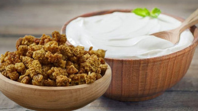 Faydasını duyan kaşık kaşık tüketecek: Yoğurdun içine dut kurusu ekleyin ve yiyin. Meğer tam bir şifa deposuymuş