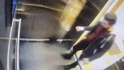 Kediyi asansörde tekmeleyerek öldürdü. Mahkeme iyi hal indirimi uyguladı. Sosyal medya ayağa kalktı: #ibrahimkeloglantutuklansın. Oturduğu sitede protesto... Hatay'a kaçtı iddiası