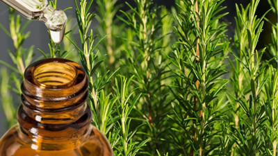 Aktarlarda kapış kapış satılıyor: 1 damlası bin bir derde deva olacak. Yüzyıllardır kullanılan şifalı yağ bulundu