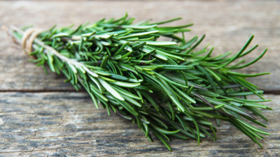 Faydasını duyan soluğu aktarda alacak: Biberiyenin bilinmeyen faydası ortaya çıktı. Meğer tam bir şifa deposuymuş