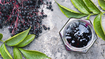 Vücuttaki iltihabı söküp atıyor: Kara mürverin mucizevi etkileri ortaya çıktı. Kara mürverin faydaları nelerdir?