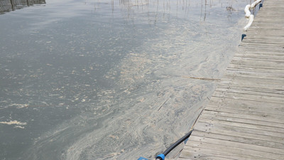Milyonların içme suyuna akaryakıt karıştı: Patlayan NATO boru hattından Sapanca Gölü'ne akaryakıt sızdı
