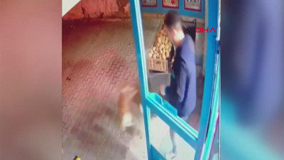 Kediyi tekmeleyerek dışarıya attı. Market çalışanına hayvanseverlerden tepki