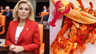 Istakoz paylaşımıyla tartışmalara neden olan Şebnem Bursalı tv100'e konuştu: Kamu kaynağını kullanmış değilim