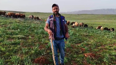 Koyunlarını otlatan çoban gökyüzüne bakınca dehşete düştü. Muş semalarında görülen insanı andıran cisim tüyler ürpertti. Çoban o anları saniye saniye kaydetti