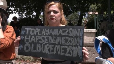Hayvanseverlerden TBMM önünden tepki! Sokak köpeklerinin uyutulmasını da içereceği bildirilen yasa teklifini protesto ettiler