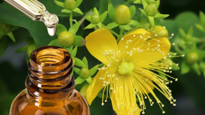 Aktarlarda kapış kapış satılıyor. Kantaron yağının öyle bir faydası var ki duyan aktara koşacak. Kantaron yağı neye iyi gelir?