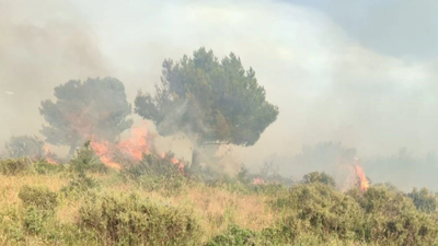 Orman Genel Müdürlüğü: Bayramın 1. gününden bu yana 153 yangına müdahale edildi