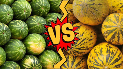 Hangi meyvenin daha faydalı olduğu ortaya çıktı: Karpuz mu yoksa kavun mu daha faydalı?