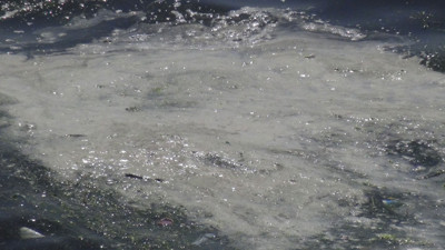 Marmara Denizi'nde korkutan görüntü! Müsilaj geri mi dönüyor? Numune alındı