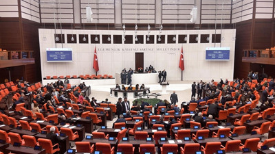 Sokak hayvanlarına ilişkin kanun teklifi görüşmeleri TBMM'de başladı. Hayvan severler Ankara'da protesto için toplandı