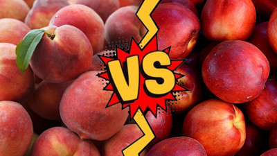Hangi meyvenin daha faydalı olduğu ortaya çıktı: Şeftali mi yoksa nektarin mi daha faydalı?