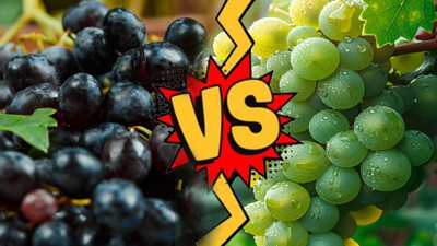 Hangi üzümün daha faydalı olduğu ortaya çıktı: Siyah üzüm mü yoksa yeşil üzüm mü daha faydalıdır?