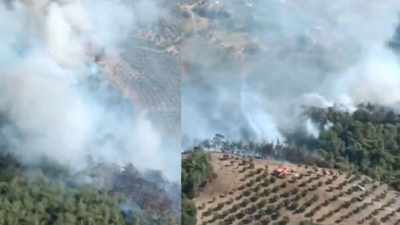 Hatay'dan sonra İzmir'de de orman yangını çıktı. Söndürme çalışmaları sürüyor