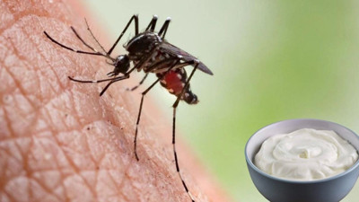 Sivrisinek ısırığına sakın bunu sürmeyin. Yıllardır yanlış yapıyormuşuz. Uzmanından çok önemli açıklamalar geldi