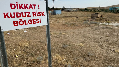 Artvin'de kuduz alarmı! Bir mahalle ve köye hayvan giriş çıkışları yasaklandı