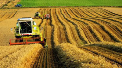 İşlenmeyen tarım arazileri kiraya verilecek