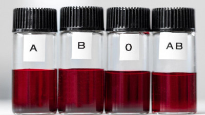 Bu Kan Grubuna Sahip Olanlar 100 Yaşını Deviriyor. Çarpıcı Araştırma Ortaya Çıktı