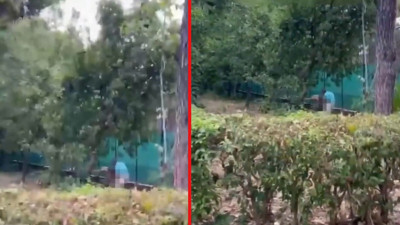 İzmir’de yaşlı bir çift, sokak ortasında cinsel ilişkiye girdi