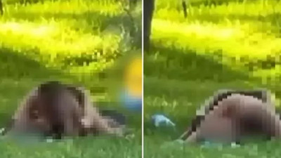 Antalya'da açık alanda cinsel ilişki rezaleti: Gündüz vakti kimse umurlarında olmadı