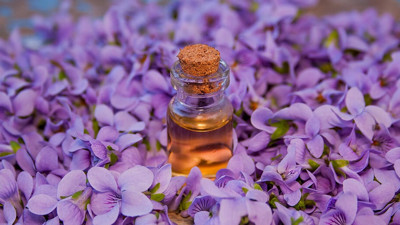 Antik Yunanların şifalı yağıymış: Aktarlarda yok satmaya başladı