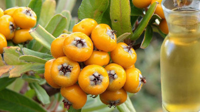 Kalp hastalıklarına duvar örüyor kanseri önlüyor: Etkisini duyan bardak bardak içiyor