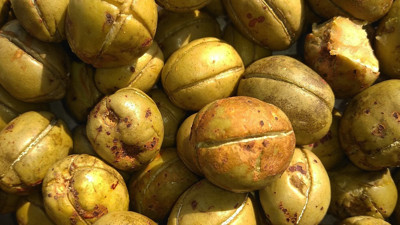 Tezgahlara geldiği gibi bitiyor: Bağışıklığı güçlendiriyor metabolizmayı hızlandırıyor