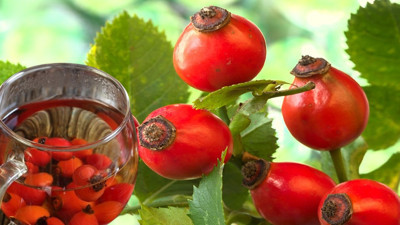 Minik bir şifa deposu ama zehirliyor: Kuşburnundaki tehlike ortaya çıktı sakın böyle tüketmeyin