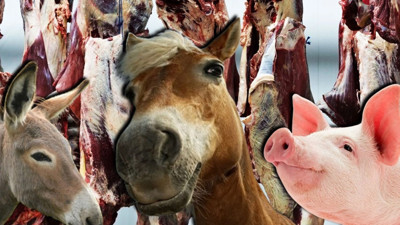 İşte en fazla at, eşek ve domuz eti bulunan 2 il...