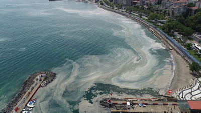 Marmara Denizi resmen alarm veriyor! Canlı ekosistemi çok büyük tehlikede