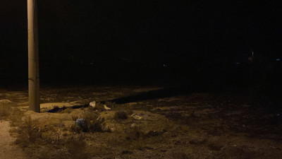 Konya'da vahşet! Köpekler 2 yaşındaki çocuğu parçalayarak öldürdü