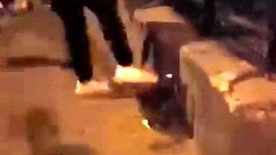 Isparta'da vicdanları sızlatan olay! Sokak kedisini böyle tekmeledi