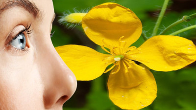 Gözlere şifalı diye biliniyordu kör ettiği ortaya çıktı: Aktarda görürseniz sakın almayın