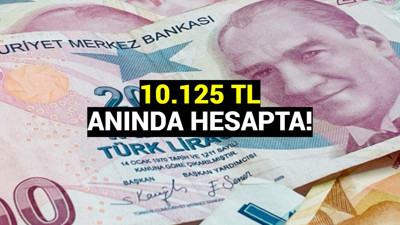 Geri ödemesiz 10 bin 125 TL müjdesi geldi: Ödemeler bugün başladı