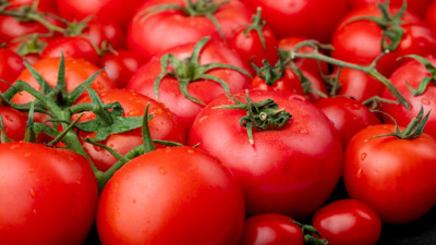 Onlarca domates raflardan toplatılmaya başladı