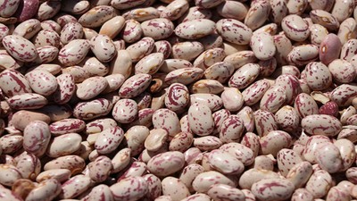 Barbunya Pişirirken Dikkat! Dağılmayı ve Gazı Önlemenin Püf Noktaları!