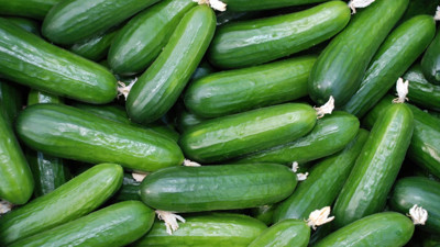 Dev marketin salatalıklarında görünmeyen tehlike: Yetkililerden acil toplatma kararı geldi